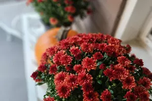 776 Lamont St NW, Washington, DC 20010 - Photo 24