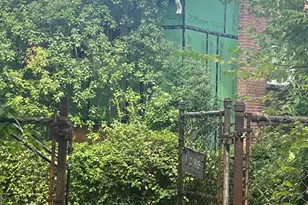 3005 Nelson Pl SE, Washington, DC 20019 - Photo 6