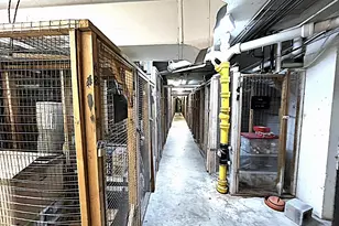 3901 Cathedral Ave NW, Washington, DC 20016 - Photo 32