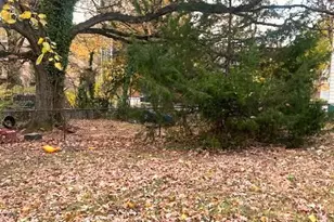 5109 Bass Pl SE, Washington, DC 20019 - Photo 40