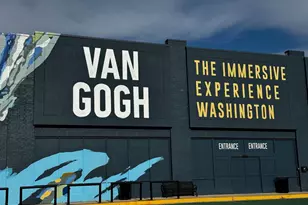 2310 4th St NE, Washington, DC 20002 - Photo 30