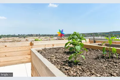 901 H Street NE #230, Washington, DC 20002 - Photo 52