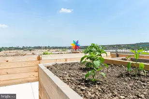 901 H St NE, Washington, DC 20002 - Photo 52