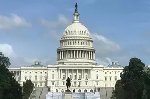 510 N St SW, Washington, DC 20024 - Photo 58