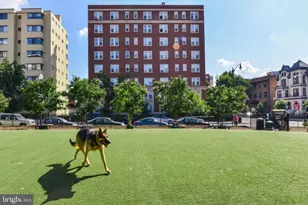 1621 T St NW, Washington, DC 20009 - Photo 28