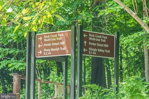 2901 Newark St NW, Washington, DC 20008 - Photo 50