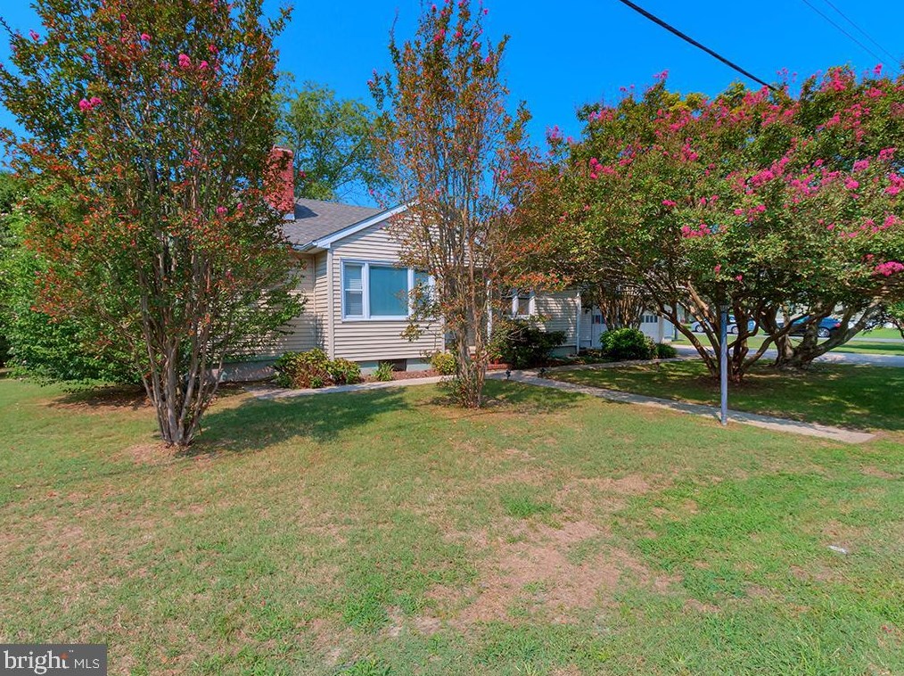 18886 Munchy Branch Rd, Rehoboth, DE 19971-8706
