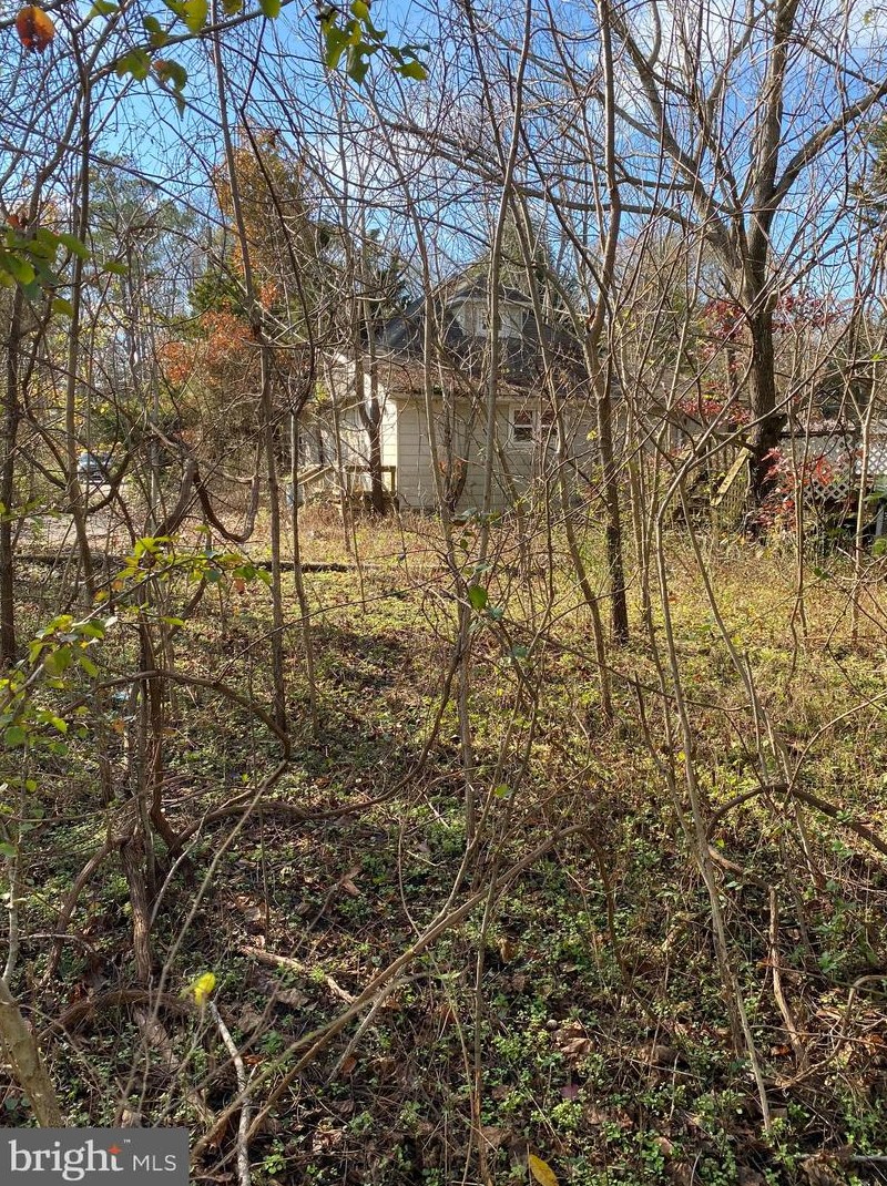 24351 Banks Rd, Millsboro, DE 19966