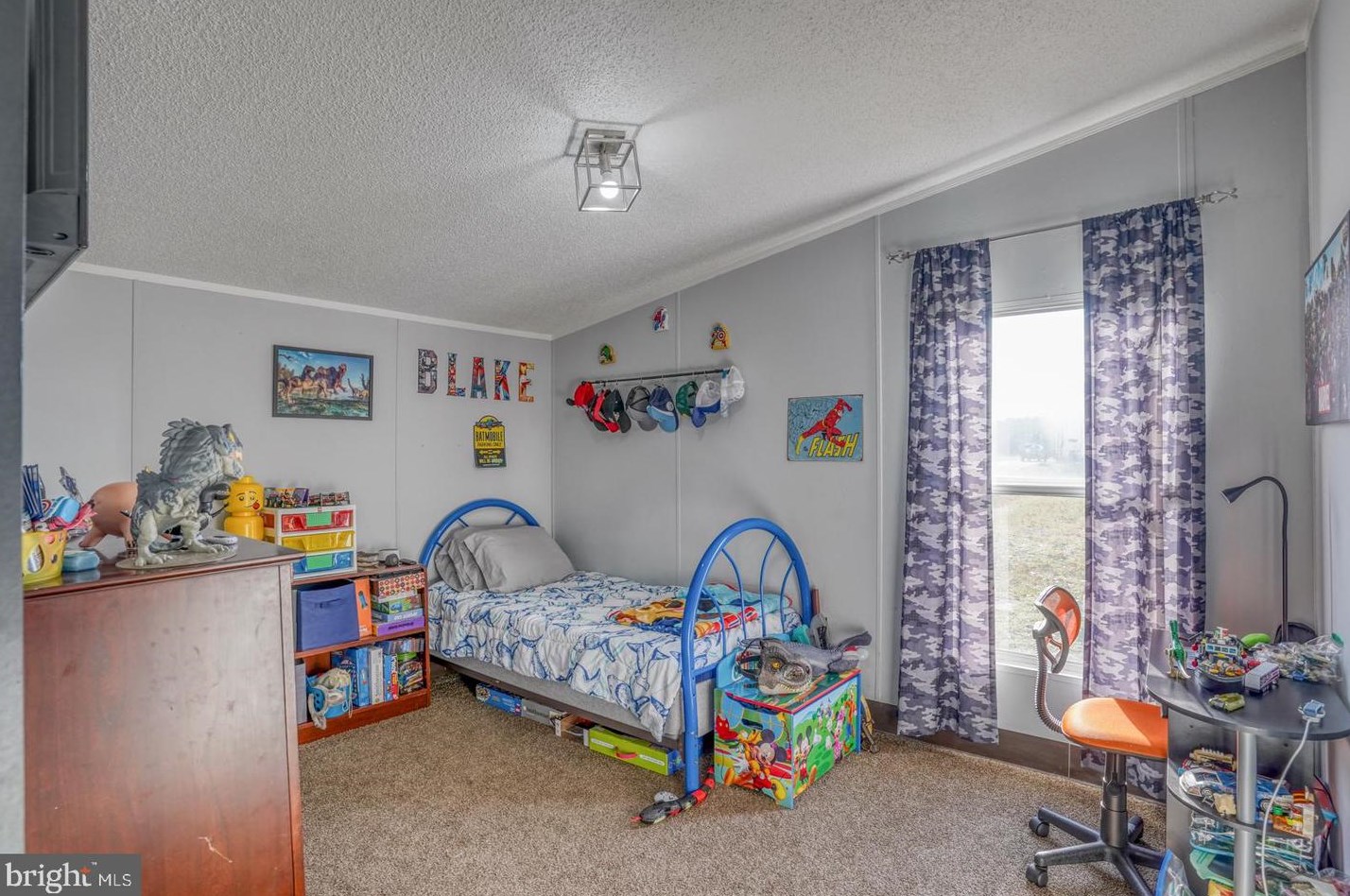 22299 Raven Cir, Lincoln DE  19960-4026 exterior