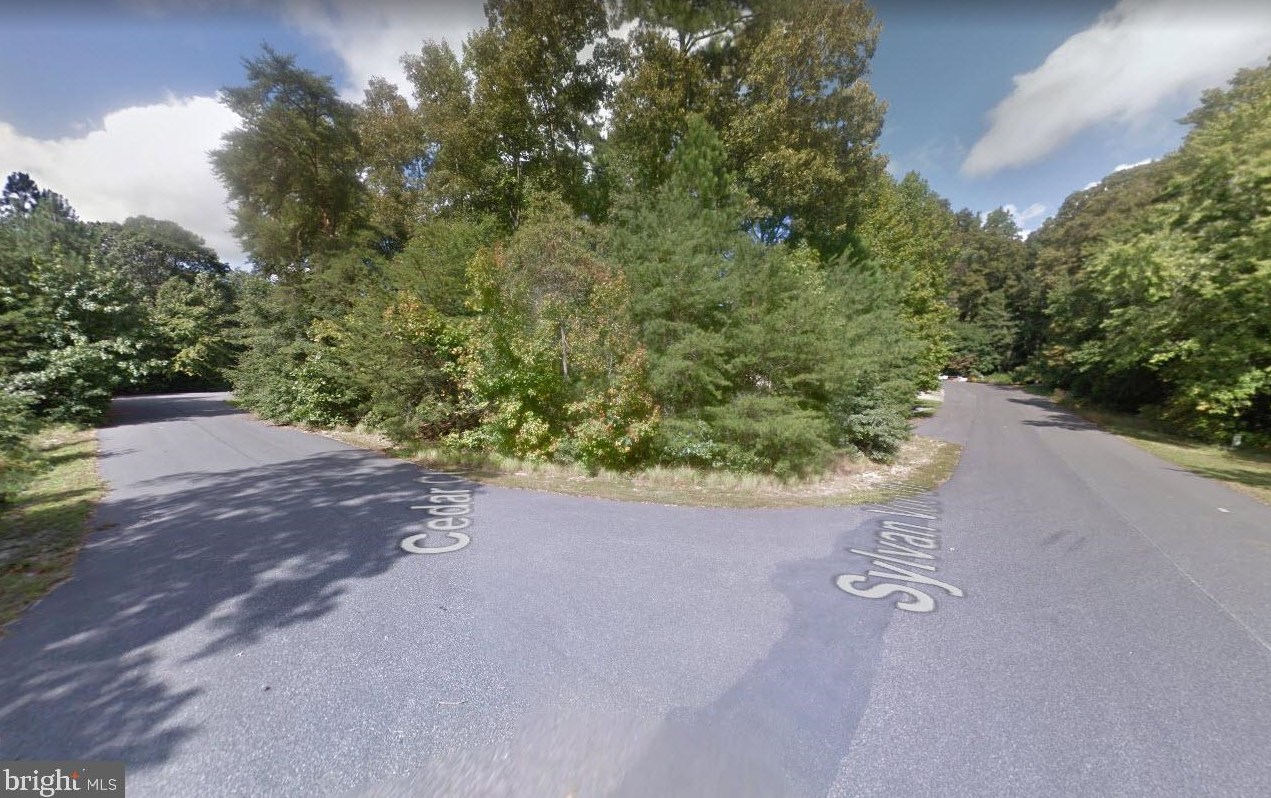 34580 Cedar Ct, Frankford, DE 19945