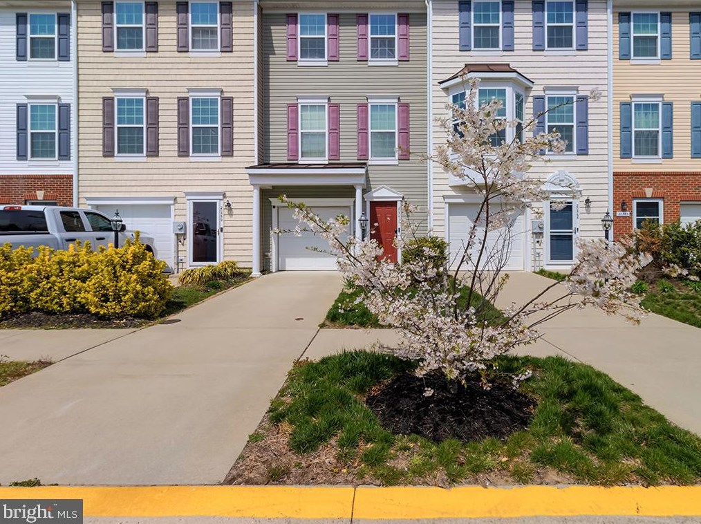 20561 Overman Way, Millsboro, DE 19966