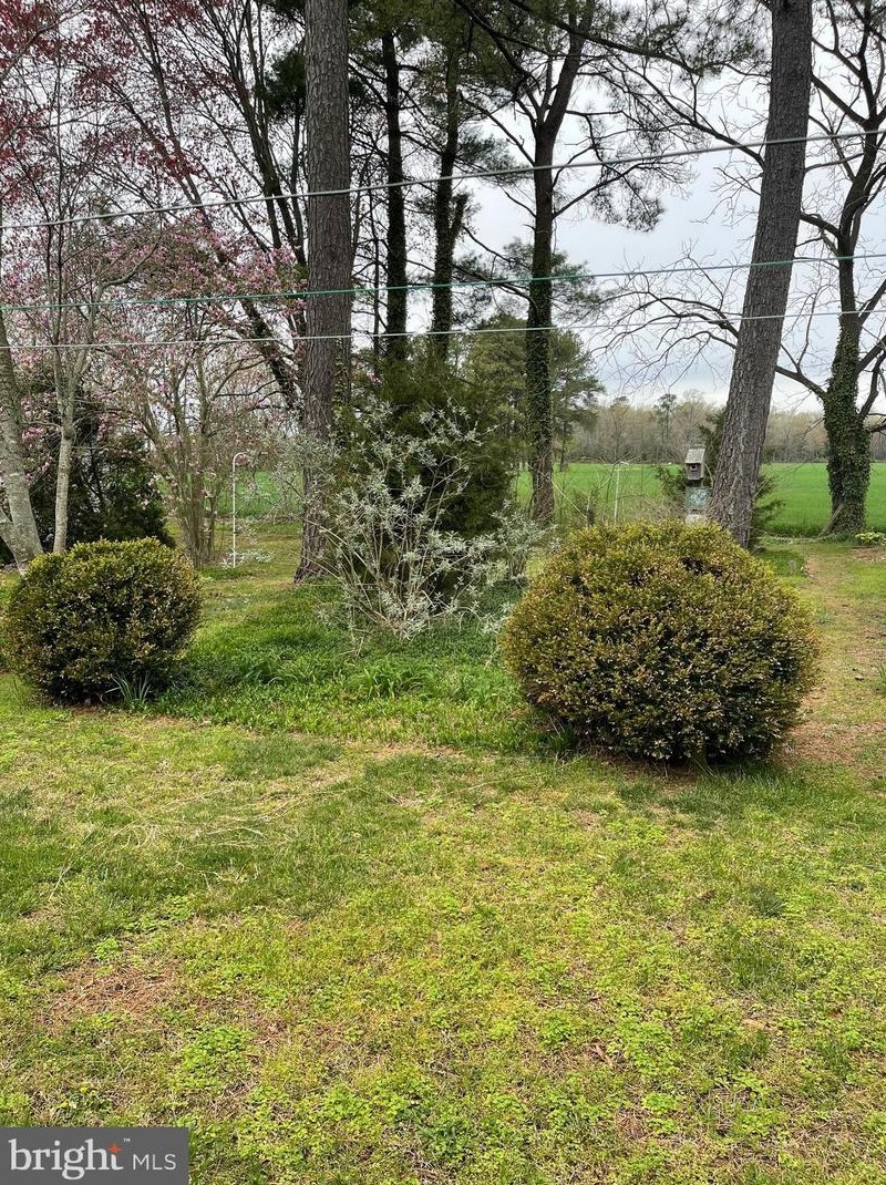 23 Polly Branch Rd, Selbyville, DE 19975