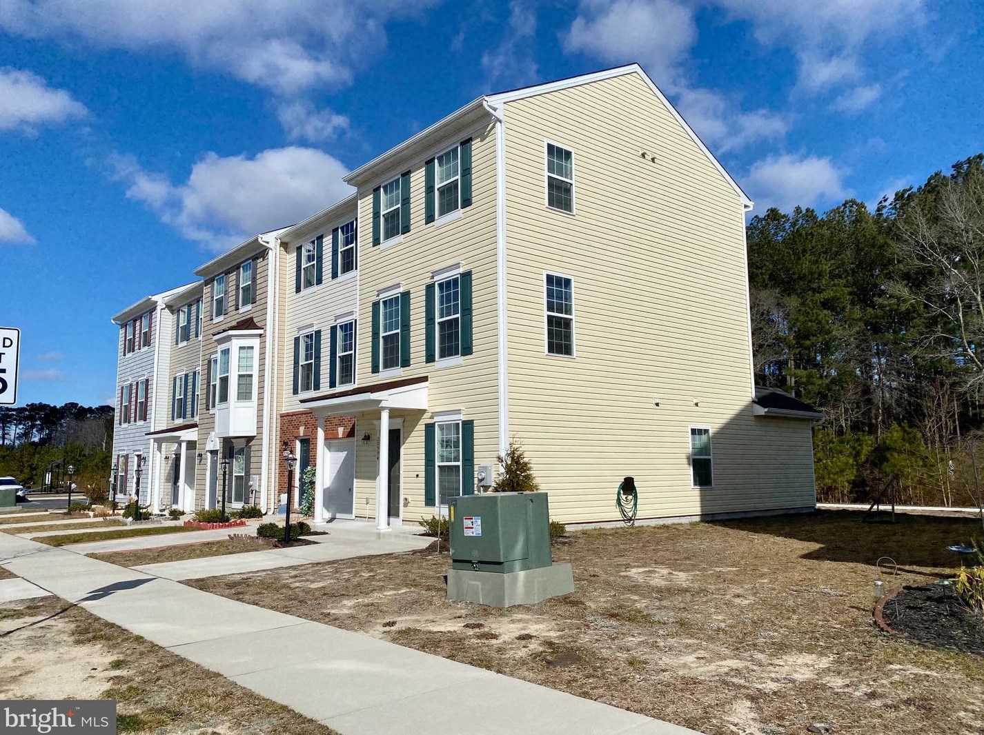 20994 Brunswick Ln, Millsboro, DE 19966