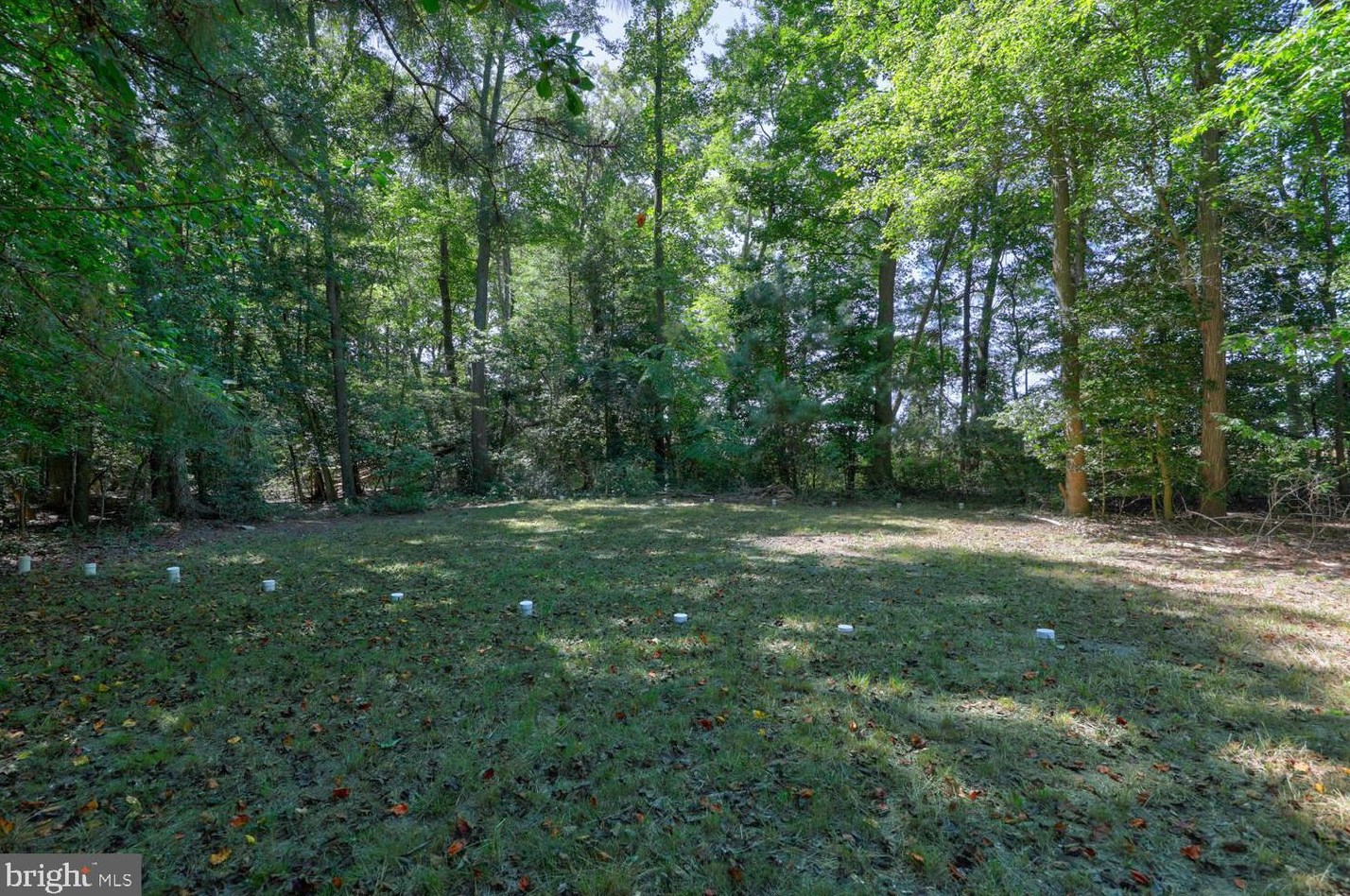 106 W Venus Ln, Milton, DE 19968
