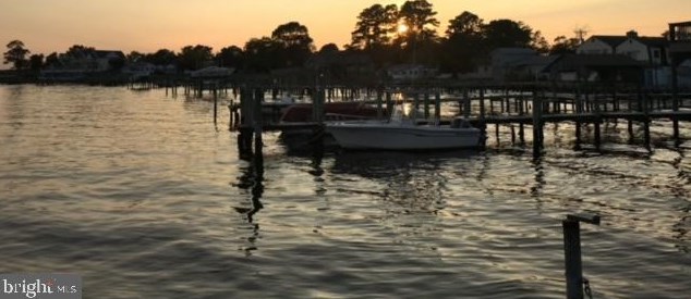 32046 River Rd, Millsboro DE  19966-4556 exterior