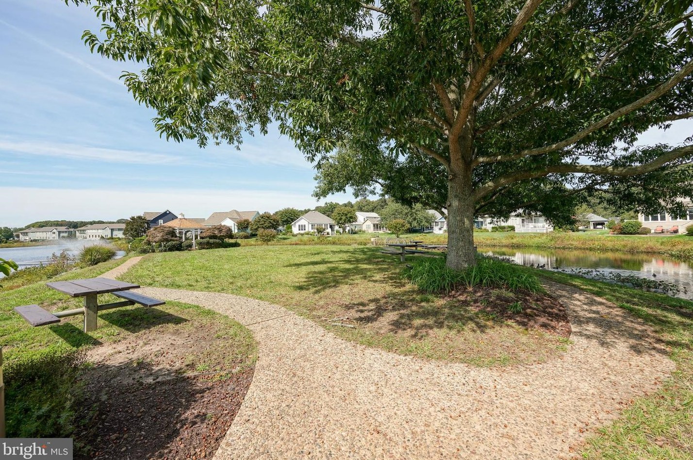 238 Lakeside Dr, Lewes DE 19958-8984 exterior
