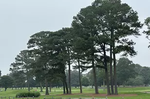 29869 Colony Dr, Dagsboro, DE 19939 - Photo 80