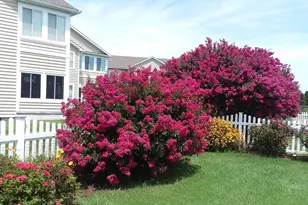 14 Clearview Dr, Milford, DE 19963 - Photo 68