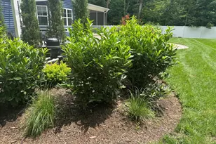 22902 W Lakeview Dr, Millsboro, DE 19966 - Photo 86