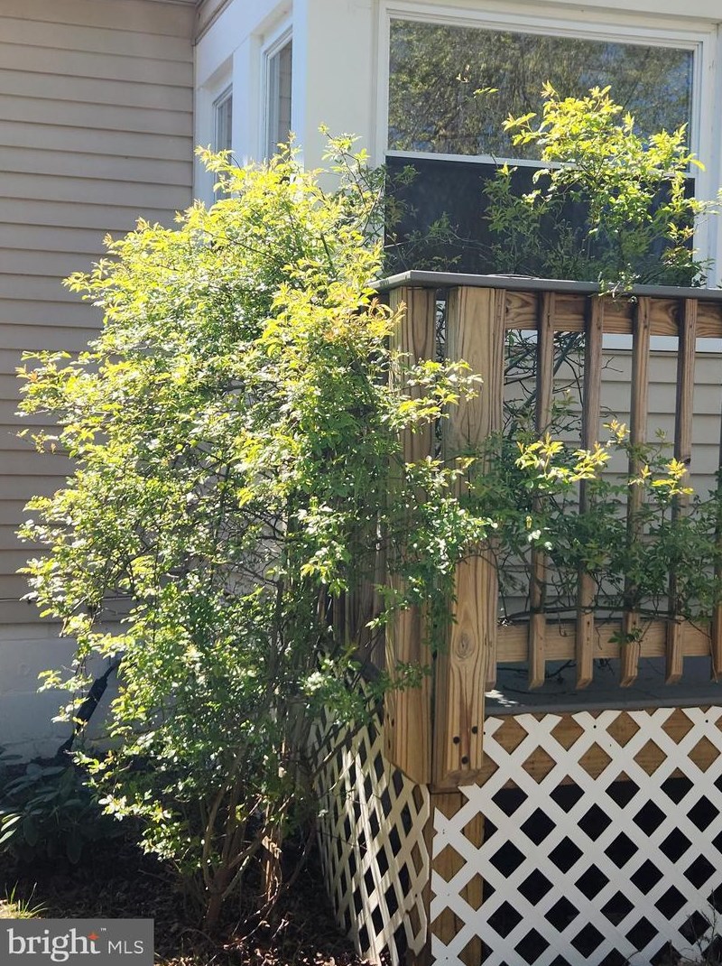 345 Alameda Pkwy, Arnold, MD 21012