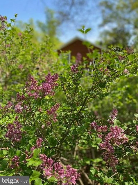 1825 Cedar Dr, Severn MD  21144-1005 exterior