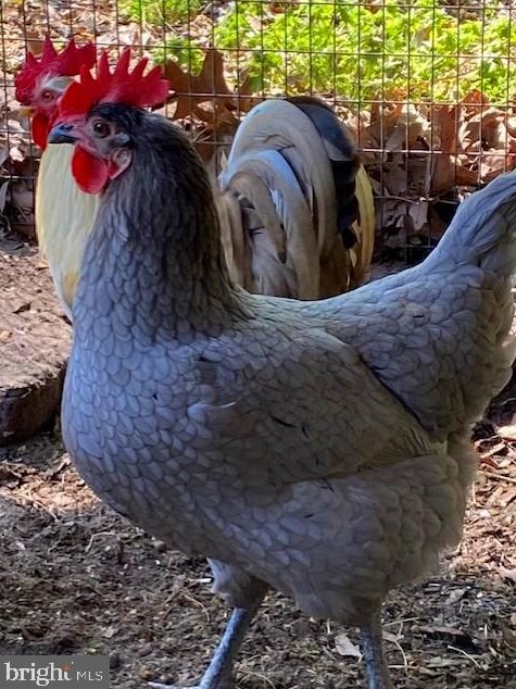 1825 Cedar Dr, Severn MD  21144-1005 exterior