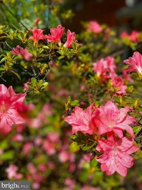 1825 Cedar Dr, Severn MD  21144-1005 exterior