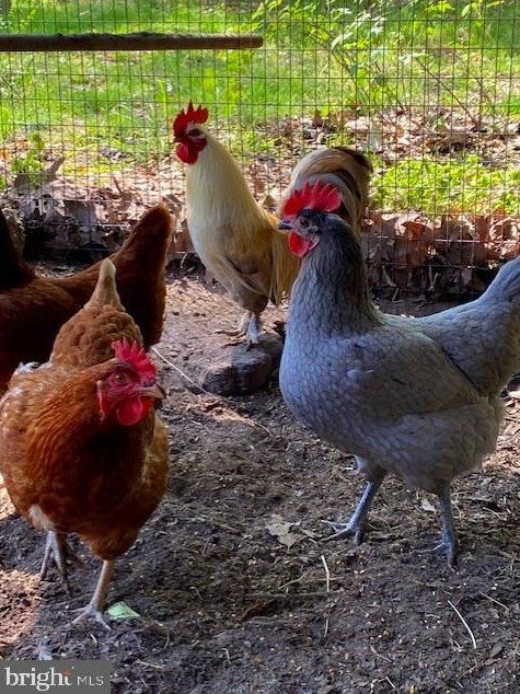 1825 Cedar Dr, Severn MD  21144-1005 exterior