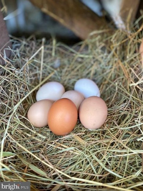 1825 Cedar Dr, Severn MD  21144-1005 exterior