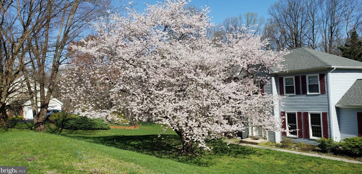 6353 Audubon Ct, Dunkirk, MD 20754-9533