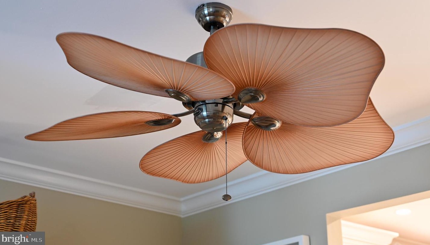 3774 Glebe Mdw Way, Edgewater MD 21037-1960 exterior