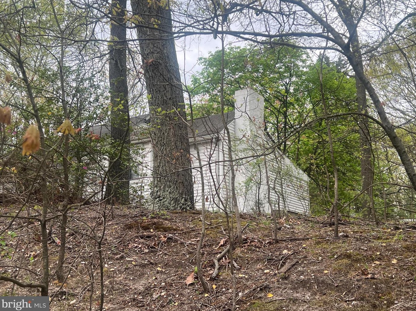 1834 Cedar Dr, Severn MD 21144-1004 exterior