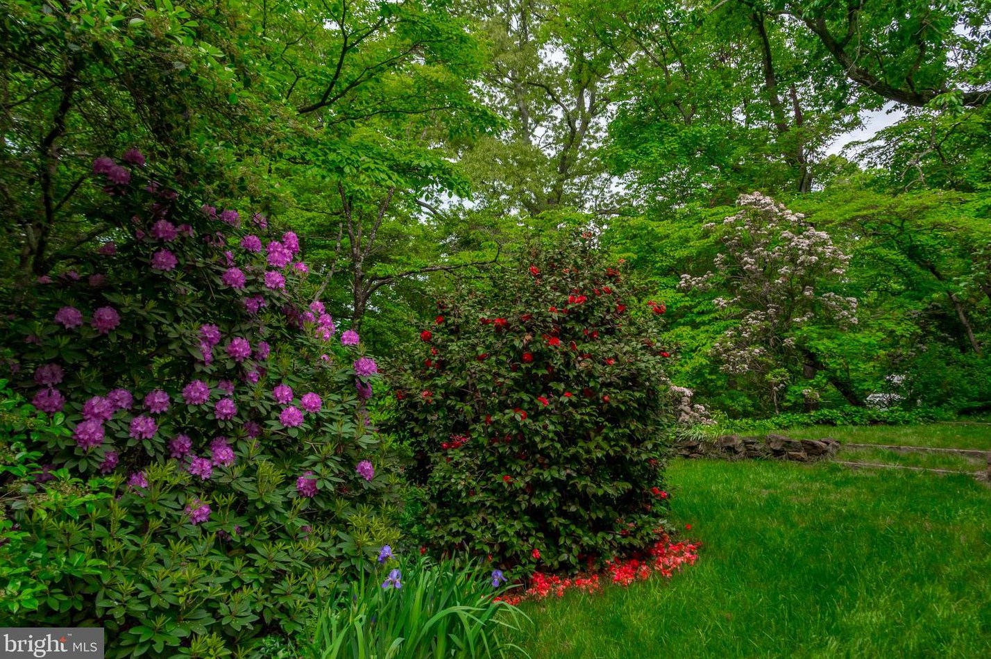 100 Cv Vw Trl, Severna Park MD 21146-4614 exterior