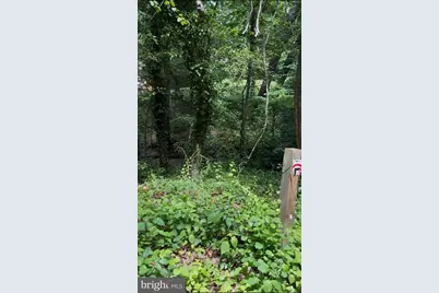 Elm Trail, Crownsville, MD 21032 - Photo 4