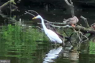 34 Johnson Rd, Pasadena, MD 21122 - Photo 8