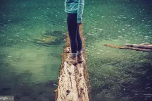 1615 Arrowwood Ln, Laurel, MD 20724 - Photo 44