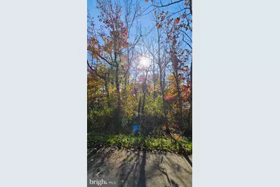 1217 Cross, Annapolis, MD 21403 - Photo 4