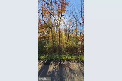 1217 Cross, Annapolis, MD 21403 - Photo 6