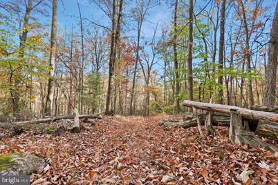 12401 Amherst Avenue NE, Cumberland, MD 21502 - Photo 40