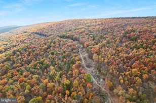 12401 Amherst Ave NE, Cumberland, MD 21502 - Photo 6