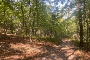 12401 Amherst Ave NE, Cumberland, MD 21502 - Photo 92