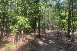 12401 Amherst Ave NE, Cumberland, MD 21502 - Photo 90