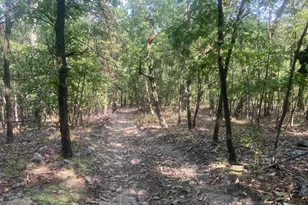 12401 Amherst Ave NE, Cumberland, MD 21502 - Photo 96