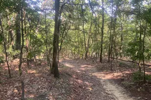 12401 Amherst Ave NE, Cumberland, MD 21502 - Photo 88