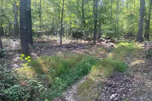 12401 Amherst Ave NE, Cumberland, MD 21502 - Photo 100