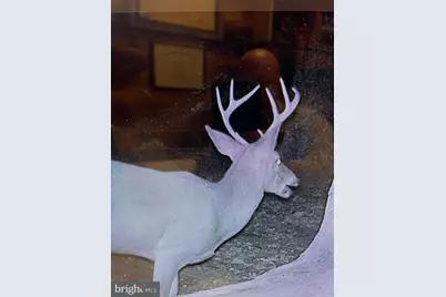 12401 Amherst Avenue NE, Cumberland, MD 21502 - Photo 18