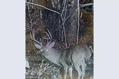 12401 Amherst Avenue NE, Cumberland, MD 21502 - Photo 16