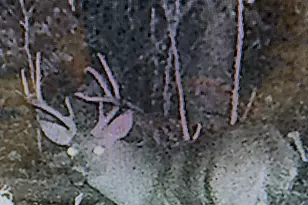 12401 Amherst Ave NE, Cumberland, MD 21502 - Photo 16