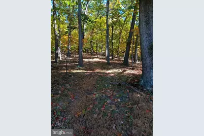 Petes Drive, Cumberland, MD 21502 - Photo 6