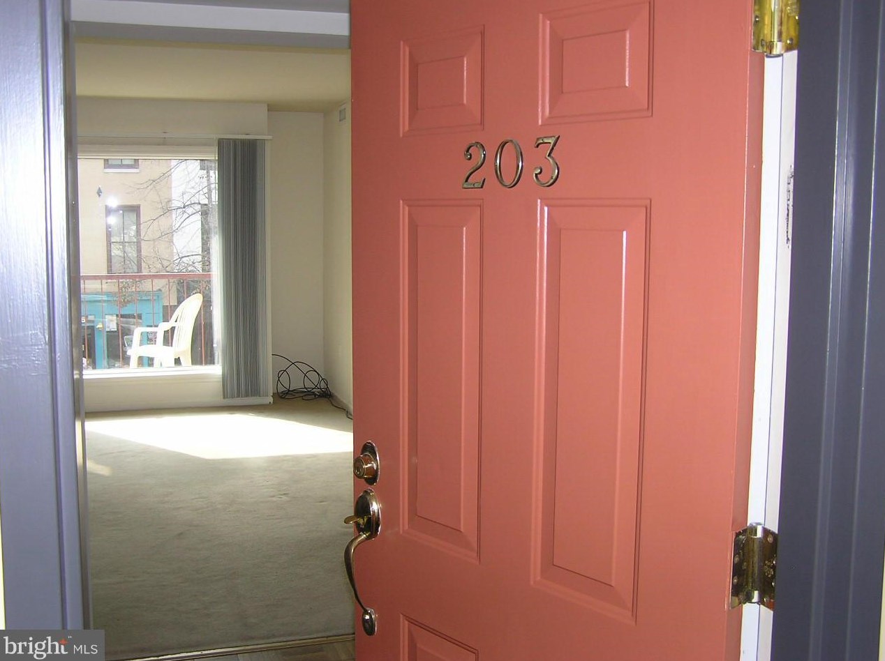 911 Charles Street S #203, Baltimore, MD 21230
